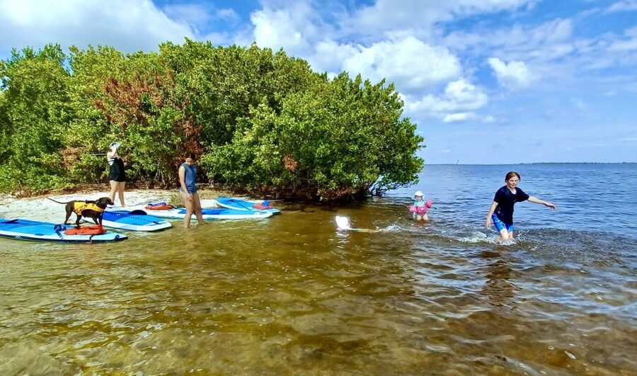 Orlando: Dolphin Clear Kayak or Paddle Board Adventure - Why the two-hour format works