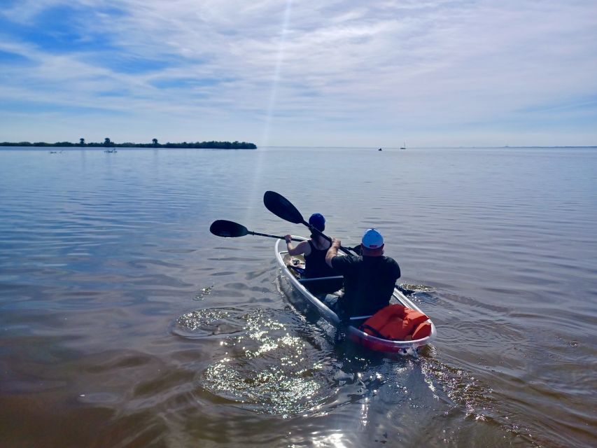 Orlando: Dolphin Clear Kayak or Paddle Board Adventure - What the $75 price includes