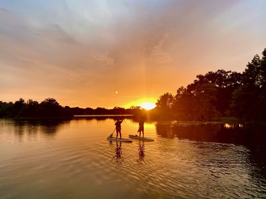 Orlando: Sunset Clear Kayak or Paddleboard in Paradise Tour - The first lesson makes this accessible to beginners