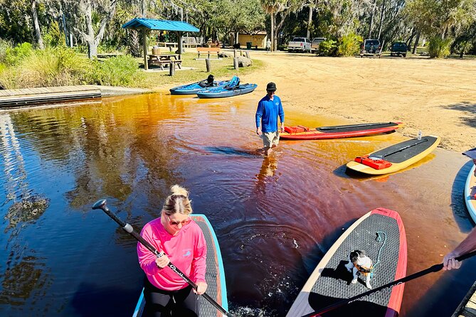 Ormond Beach Manatee and Nature Tour Kayaking or Paddle Boarding - Starting at Addison Blockhouse Historic State Park