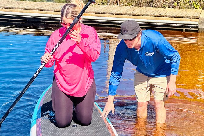 Ormond Beach Manatee and Nature Tour Kayaking or Paddle Boarding - Wildlife you might see from the water
