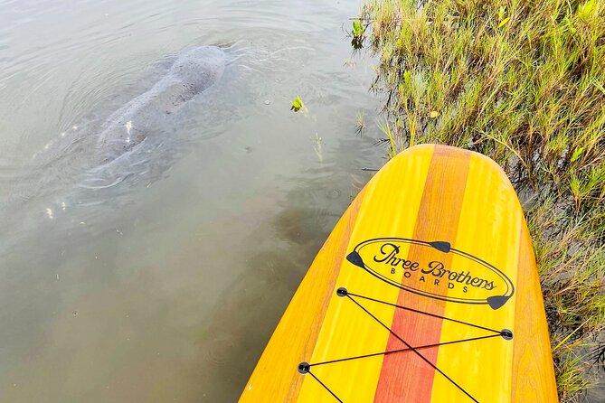 Ormond Beach Manatee and Nature Tour Kayaking or Paddle Boarding - Who should book the kayak and who should choose the board?