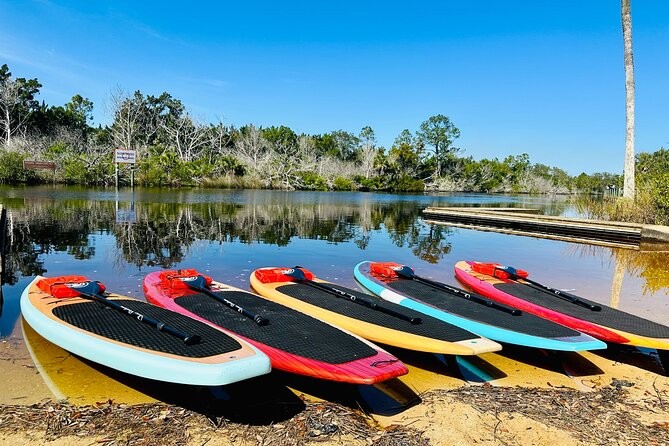 Ormond Beach Manatee and Nature Tour Kayaking or Paddle Boarding - Paddling the Tomoka River and state park
