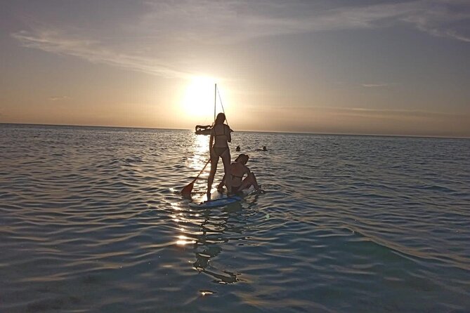 Paddle Board Classes in Holbox with Pick up - Is $41.89 a Fair Price?