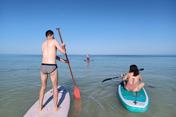 Paddle Board Classes in Holbox with Pick up - Meeting Point, Pickup, and Simple Planning