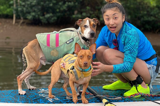 Paddle Board North Shore with Rescue Dogs - A short lesson before you leave shore