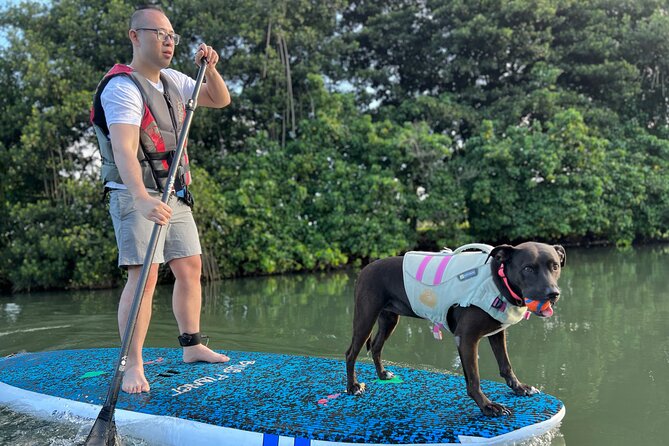 Paddle Board North Shore with Rescue Dogs - Paddling the calm Haleiwa River