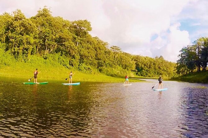 Paddle Board Private Tour Nuevo Arenal, Lake Arenal - Learning the Basics Before You Paddle