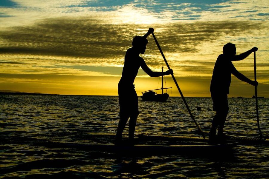 Paddle Board Rental: Glide on the Water with Ease - One Hour on the Paddleboard