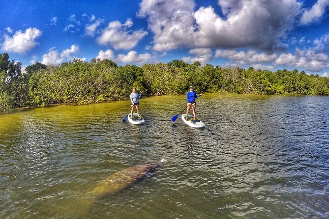 Paddle Boarding Eco Adventure Tour Jupiter Florida - Singer Island - Fullerton and Sawfish Island by paddleboard
