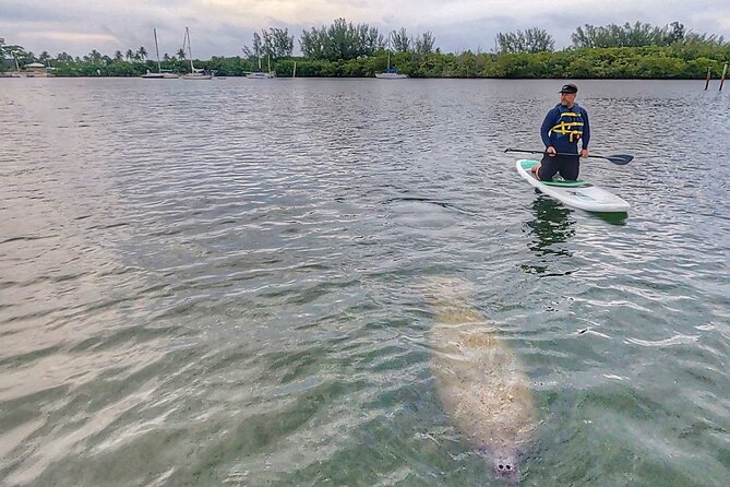 Paddle Boarding Eco Adventure Tour Jupiter Florida - Singer Island - Conditions, fitness, and what to bring