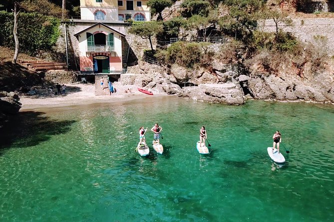 Paddle Boarding Experience in Portofino - Key points at a glance