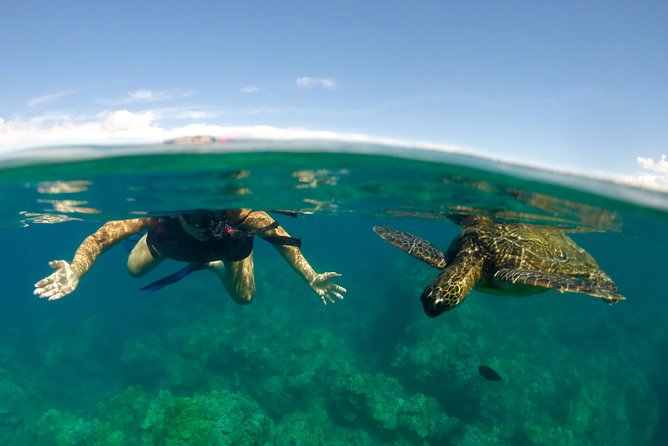 Paddle, Snorkel and Learn to Surf: All in a Day on Maui - Key points to know before booking