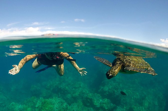 Paddle, Snorkel and Learn to Surf: All in a Day on Maui - Who should book this Maui water package?