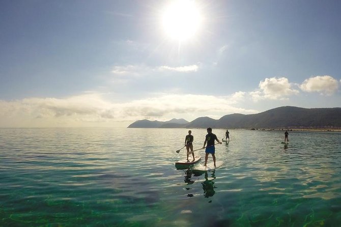 Paddle Surf in Cantabria - Starting at Enjoy SUP School in Noja