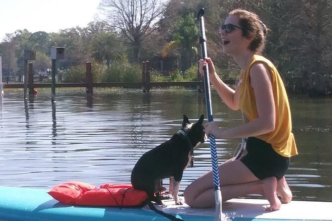 Paddle with Pups in Paradise - Paddleboard or Kayak - Key Points to Know Before You Paddle