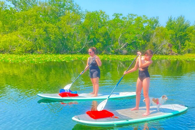 Paddle with Pups in Paradise - Paddleboard or Kayak - The First Lesson on Stable Boards and Clear Kayaks