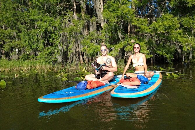 Paddle with Pups in Paradise - Paddleboard or Kayak - Taking Your Dog Onto Lake Ivanhoe