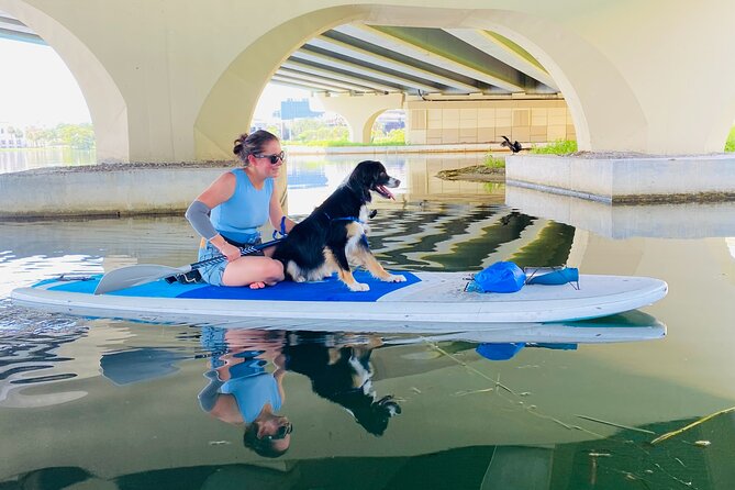 Paddle with Pups in Paradise - Paddleboard or Kayak - What the Guides Add to the Experience