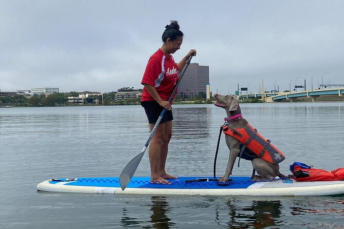 Paddle with Pups in Paradise - Paddleboard or Kayak - Who Will Enjoy This Most