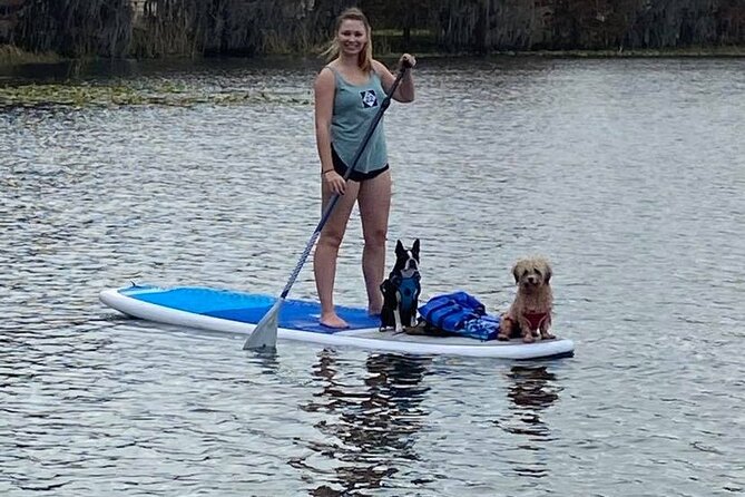 Paddle with Pups in Paradise - Paddleboard or Kayak - Timing, Weather, and Cancellation Rules
