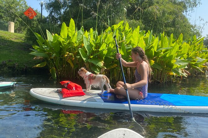Paddle with Pups in Paradise - Paddleboard or Kayak - Meeting at Epic Paddle Adventures