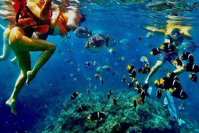 Paddleboard and Snorkeling Experience in Los Arcos - From Puerto Vallarta to Mismaloya Beach