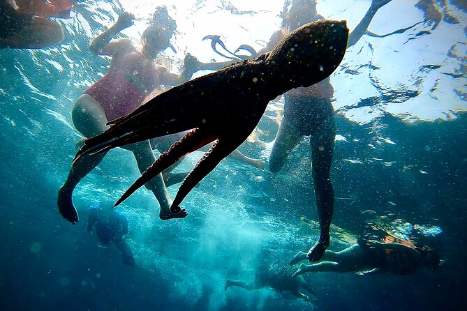 Paddleboard and Snorkeling Experience in Los Arcos - The return paddle and the four-hour schedule