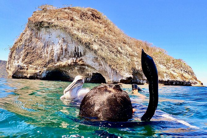 Paddleboard and Snorkeling Experience in Los Arcos - What the small group changes