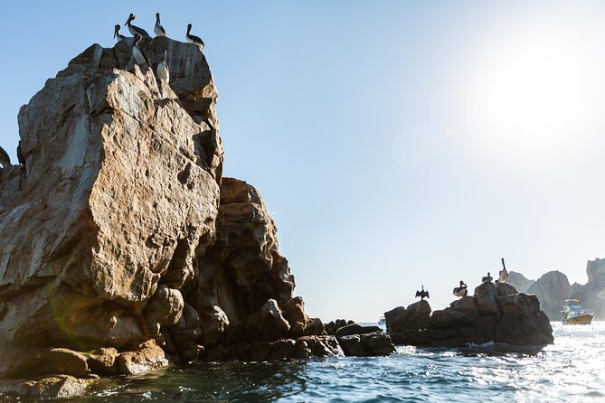 Paddleboard Expedition to the Arch of Cabo San Lucas, Lovers Beach & Snorkel - Is the $90 price fair?
