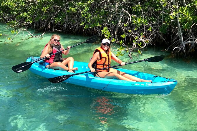 Paddleboard Kayak Tour in Cancun - Why Nichupté Lagoon is worth your morning