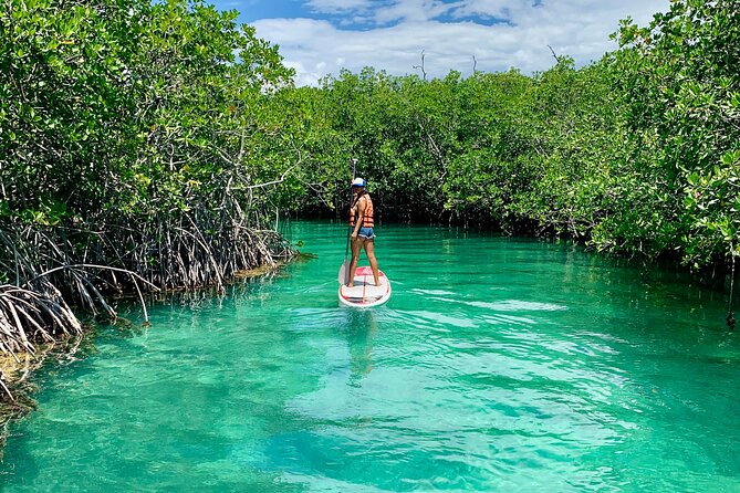 Paddleboard Kayak Tour in Cancun - Value, timing, and what is actually included
