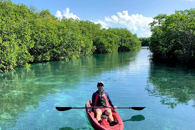 Paddleboard Kayak Tour in Cancun - Who should book this lagoon tour