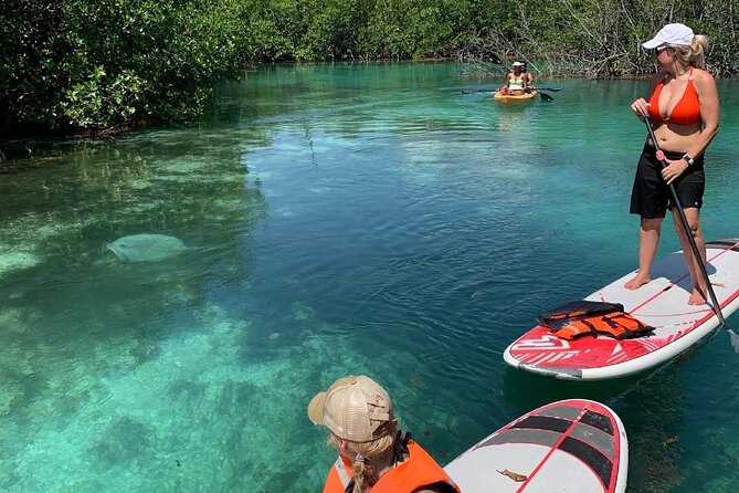Paddleboard Kayak Tour in Cancun - Choosing between a kayak and a paddleboard