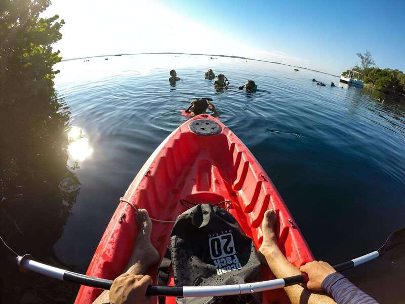Paddleboard or kayak sunrise tour in Bacalar lagoon - Bird Island at the start of the day