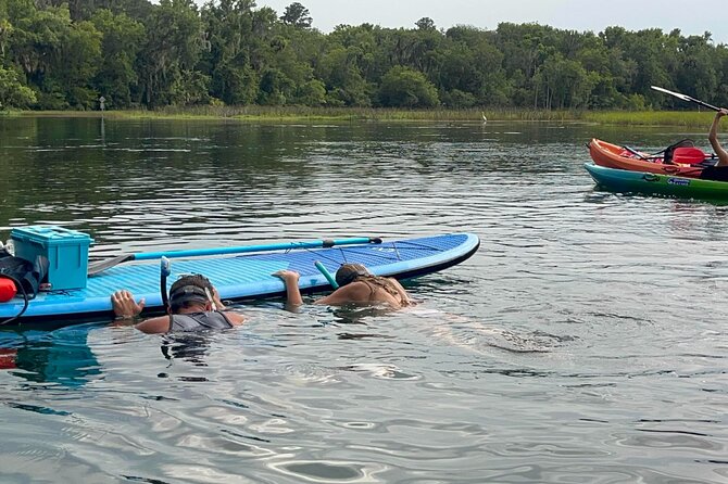 Paddleboard Rental – Three Sisters Springs & Manatee Refuge - Is $45.00 a fair price?