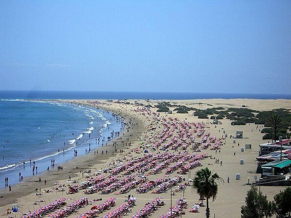 Premium Surf Course in Gran Canaria - Key points to know before you book
