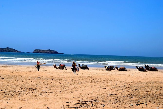 Premium Surf Trip to Essaouira from Marrakesh - Two hours of surfing with equipment included