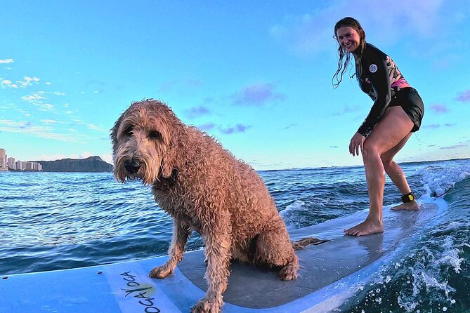 Private 1-on-1 Surf Lesson with Videos and Photos - Catching your first wave