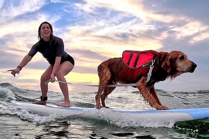 Private 1-on-1 Surf Lesson with Videos and Photos - Understanding the listed Oahu stops