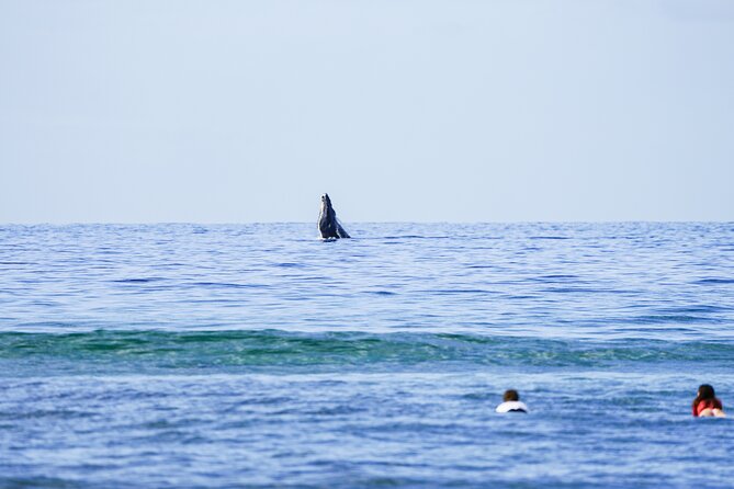 Private 2 hour Surf Lessons with Experienced Coaches - Why private coaching matters at Ukumehame Beach Park