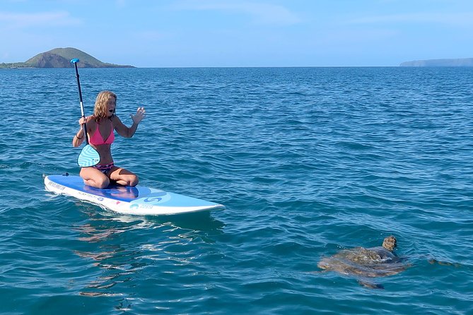Private Beginner Paddleboard 101 Lesson: Makena Landing! - Paddling across Turtle Town