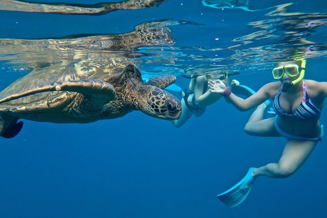 Private Beginner Paddleboard Lesson with Snorkel in Turtle Town - Why the private format helps families