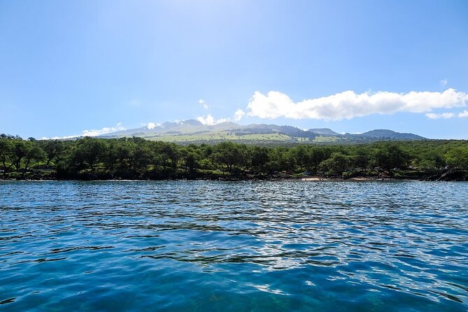 Private Beginner Paddleboard Lesson with Snorkel in Turtle Town - Timing, transport, and what to wear