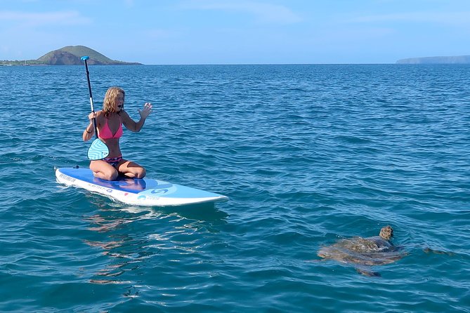 Private Beginner Paddleboard Lesson with Snorkel in Turtle Town - Snorkeling with turtles from the board