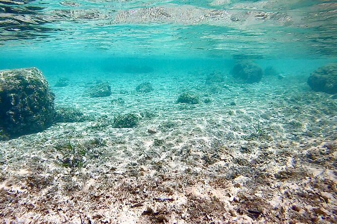 Private Boat Tour from Palma with Snorkeling and Paddle Surfing - Paddle surfing between swimming stops