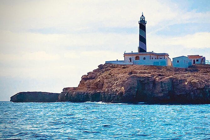 Private Boat Tour from Palma with Snorkeling and Paddle Surfing - A flexible half-day instead of a fixed route
