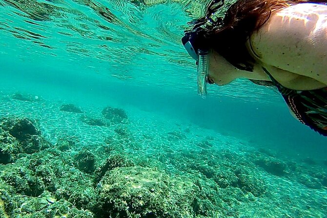 Private Boat Tour from Palma with Snorkeling and Paddle Surfing - What the boat is like for a group of six