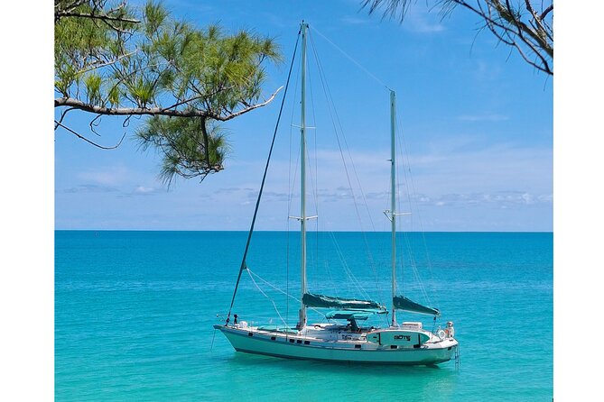 Private Catamaran Swim sail snorkel cliff jumping SUP - SUP, crystal kayak, and easy water time