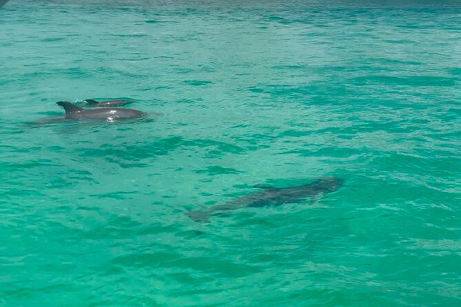 Private Crab Island Excursion with Bote Paddleboards - Weather, cancellation, and booking timing